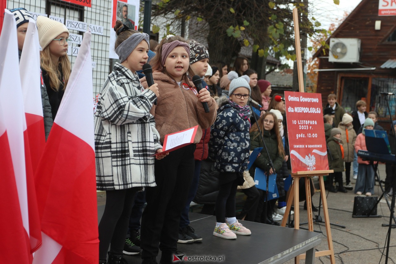 Goworowo dla Niepodległej [10.11.2023] - zdjęcie #9 - eOstroleka.pl