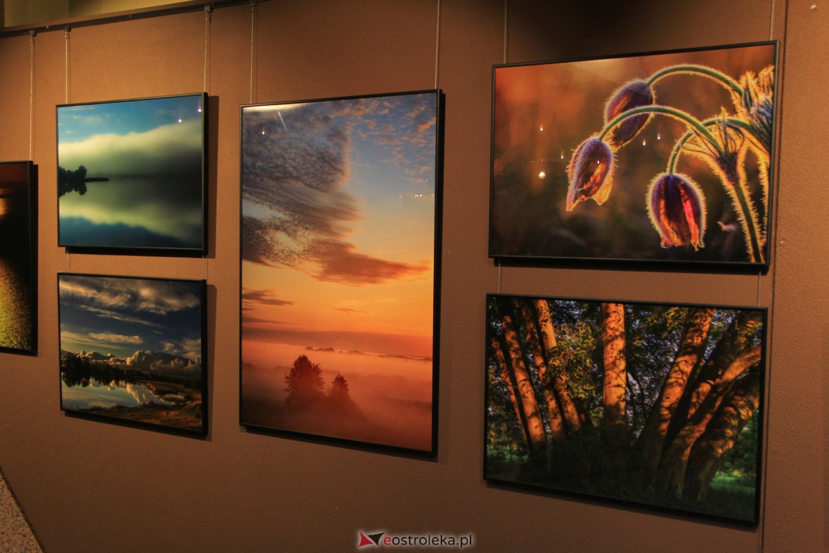Wernisaż wystawy W pogoni za światłem w OCK [10.11.2023] - zdjęcie #26 - eOstroleka.pl