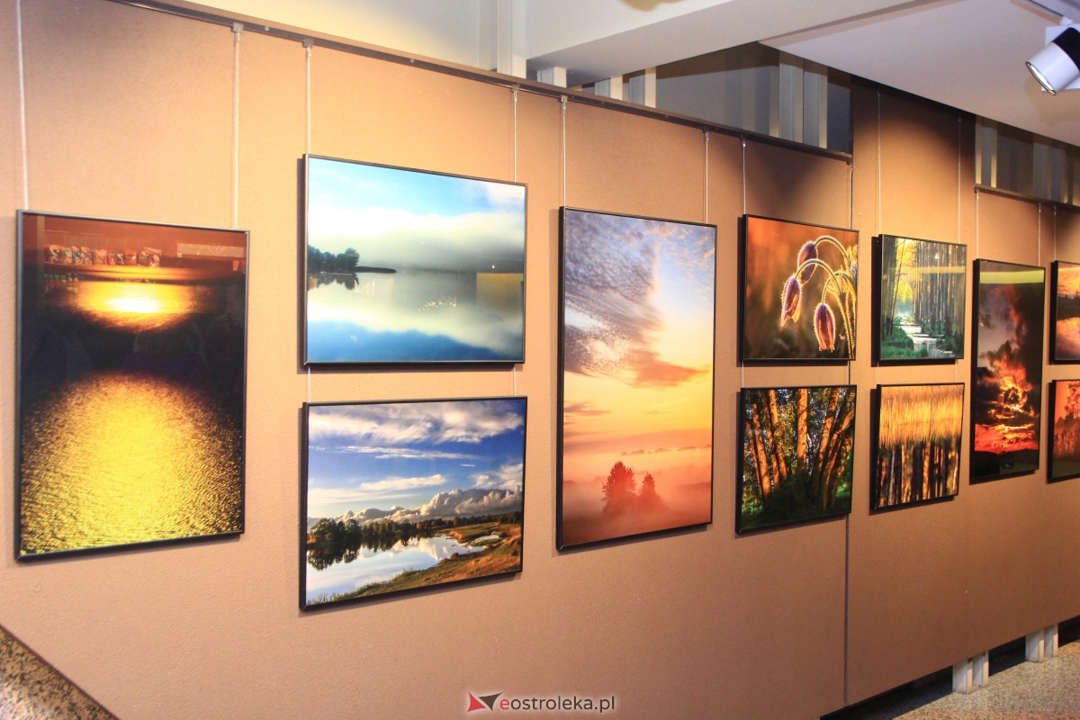 Wernisaż wystawy W pogoni za światłem w OCK [10.11.2023] - zdjęcie #21 - eOstroleka.pl