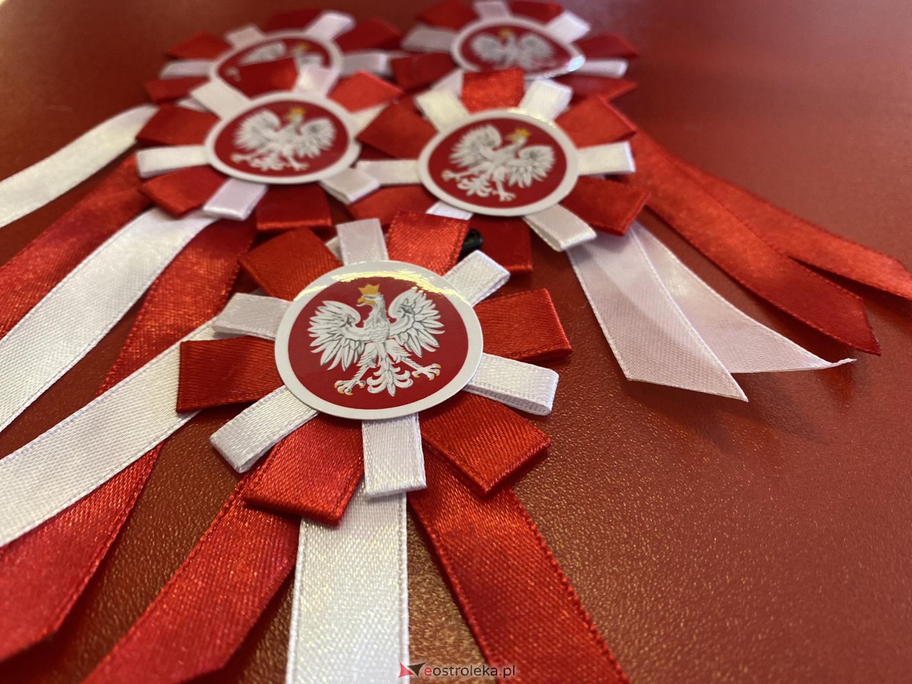 Rodzinny Dzień Niepodległości w Ostrołęce [11.11.2023] - zdjęcie #62 - eOstroleka.pl