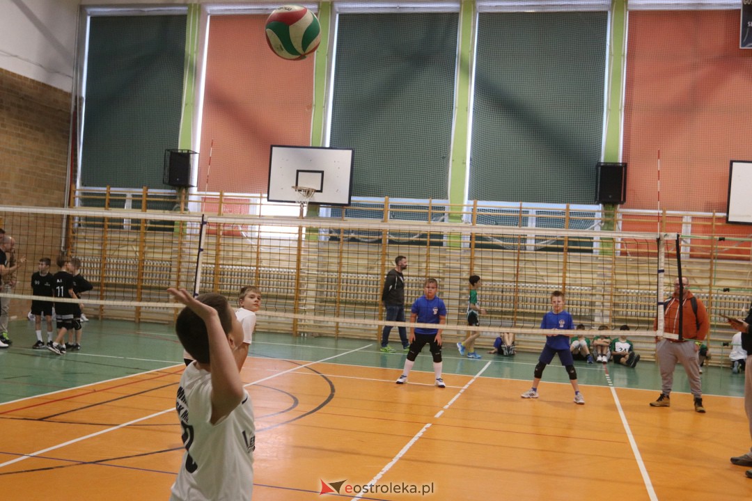 Turniej minisiatkówki w SP 5 [18.11.2023] - zdjęcie #38 - eOstroleka.pl