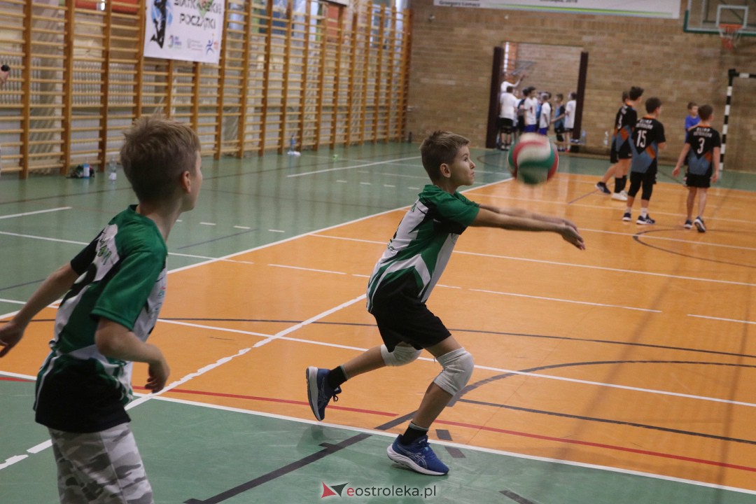 Turniej minisiatkówki w SP 5 [18.11.2023] - zdjęcie #45 - eOstroleka.pl