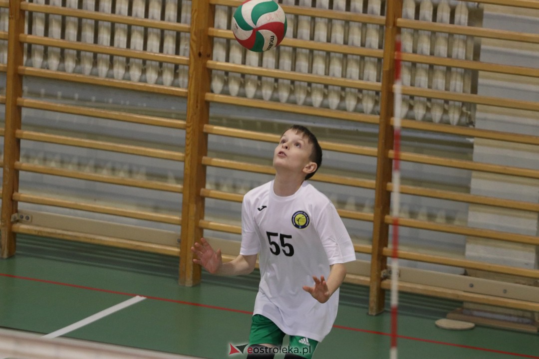 Turniej minisiatkówki w SP 5 [18.11.2023] - zdjęcie #14 - eOstroleka.pl