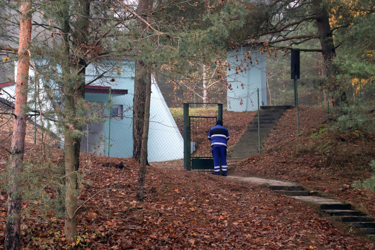 Ćwiczenia NAREW 2023 w OPWiK [22.11.2023] - zdjęcie #21 - eOstroleka.pl