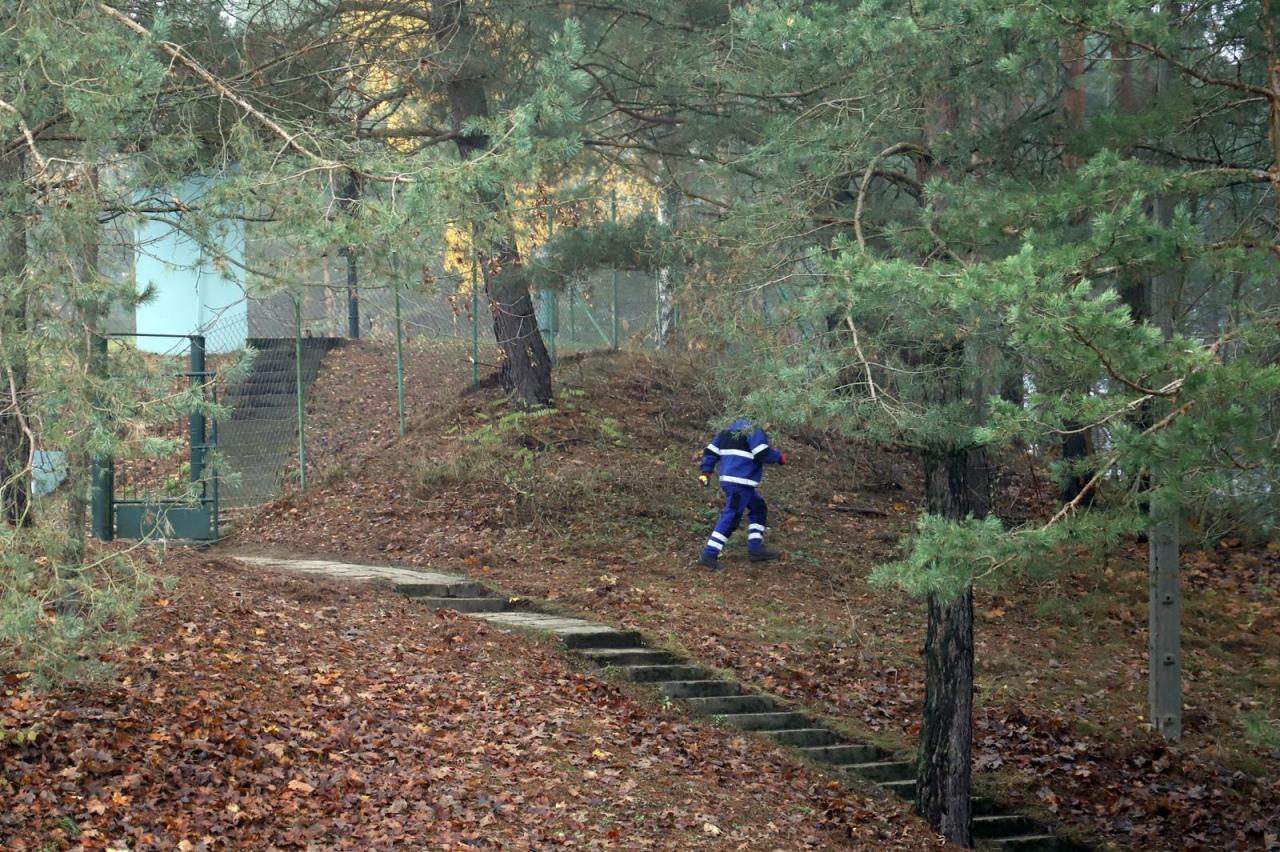 Ćwiczenia NAREW 2023 w OPWiK [22.11.2023] - zdjęcie #19 - eOstroleka.pl