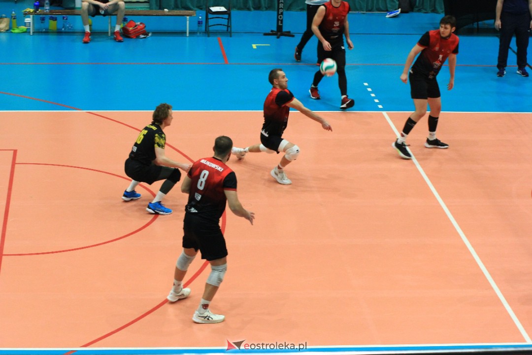 SPS Volley Ostrołęka - Polcanex Kobyłka [25.11.2023] - zdjęcie #110 - eOstroleka.pl