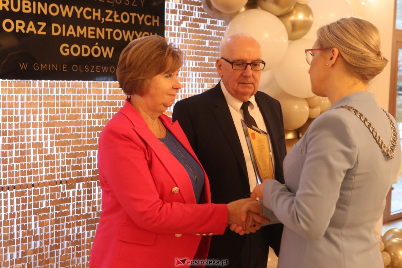 Złote Gody w Olszewie-Borkach [2.12.2023] - zdjęcie #52 - eOstroleka.pl
