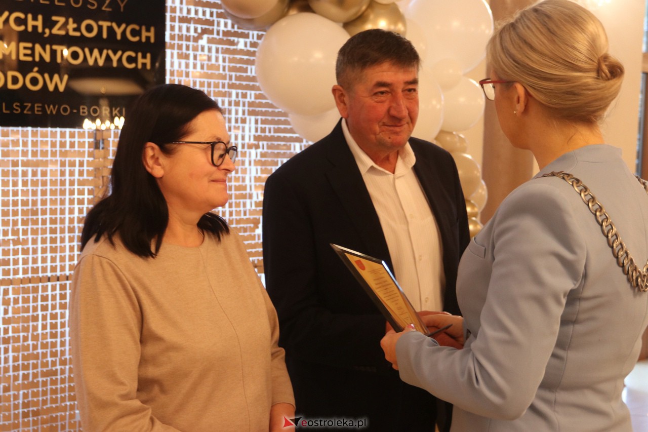 Złote Gody w Olszewie-Borkach [2.12.2023] - zdjęcie #26 - eOstroleka.pl