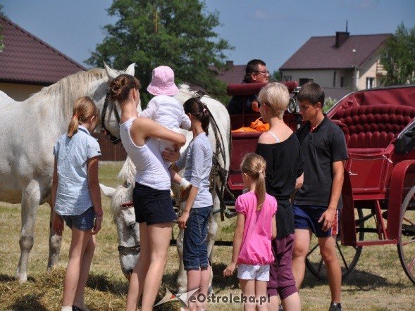 Festyn osiedla Leśne - zdjęcie #1 - eOstroleka.pl