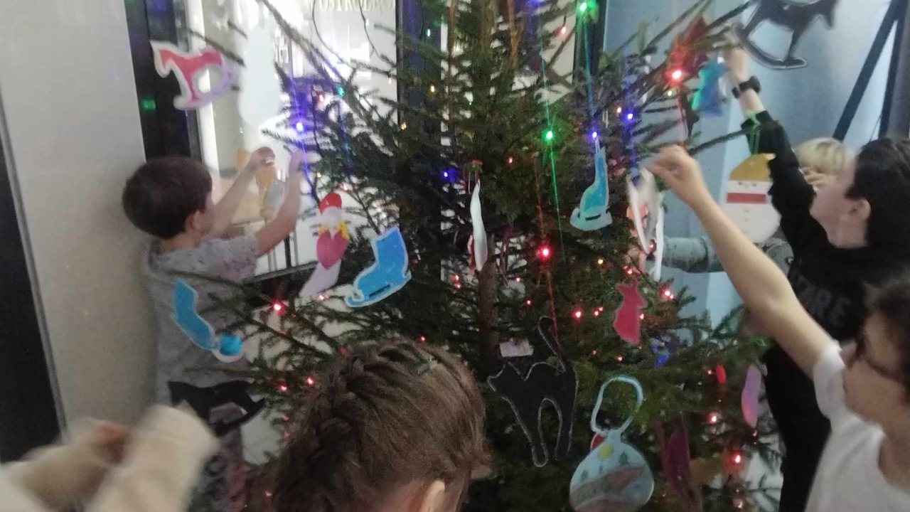 Strojenie choinki w SP 10 w Ostrołęce [11.12.2023] - zdjęcie #1 - eOstroleka.pl