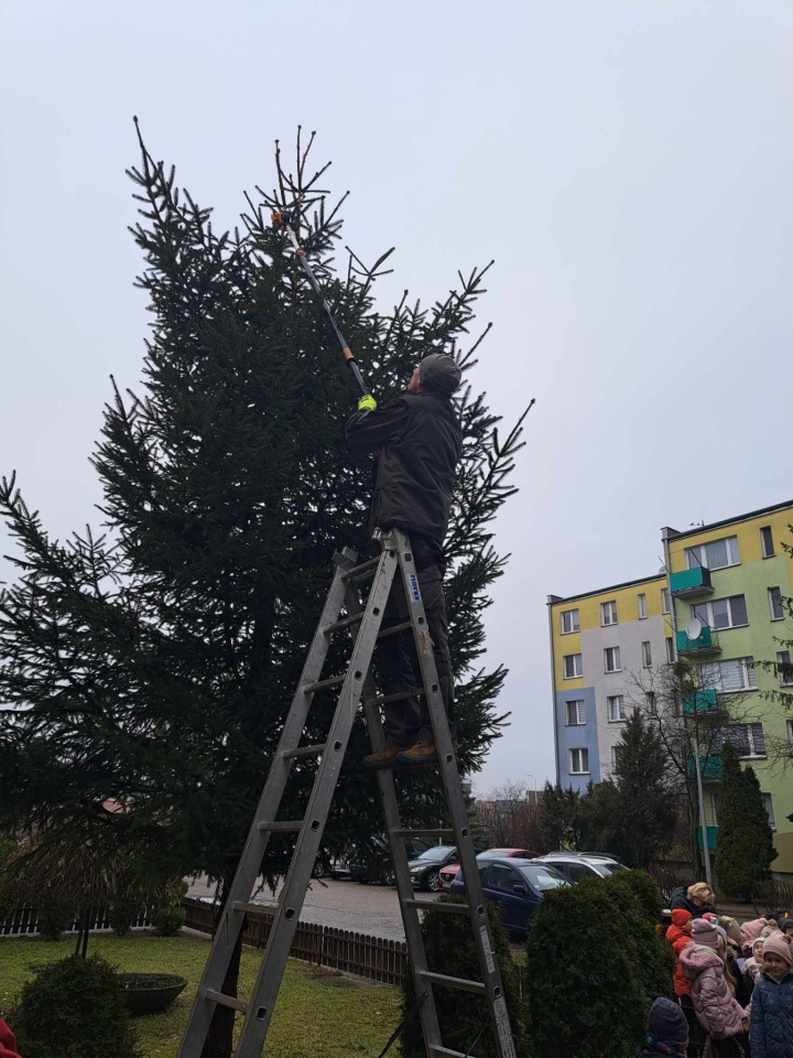 Świąteczny nastrój na osiedlu Centrum dzięki współpracy przedszkolaków i spółdzielni mieszkaniowej [15.12.2023] - zdjęcie #46 - eOstroleka.pl