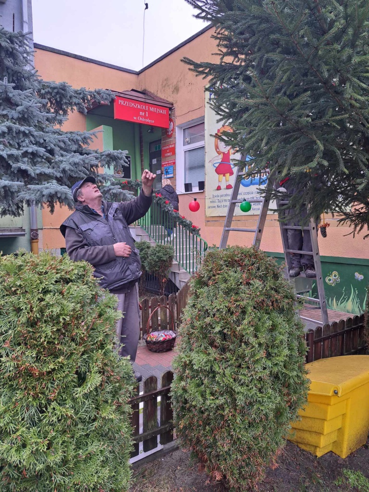 Świąteczny nastrój na osiedlu Centrum dzięki współpracy przedszkolaków i spółdzielni mieszkaniowej [15.12.2023] - zdjęcie #43 - eOstroleka.pl