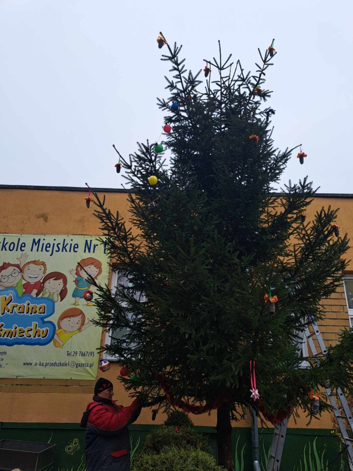 Świąteczny nastrój na osiedlu Centrum dzięki współpracy przedszkolaków i spółdzielni mieszkaniowej [15.12.2023] - zdjęcie #27 - eOstroleka.pl