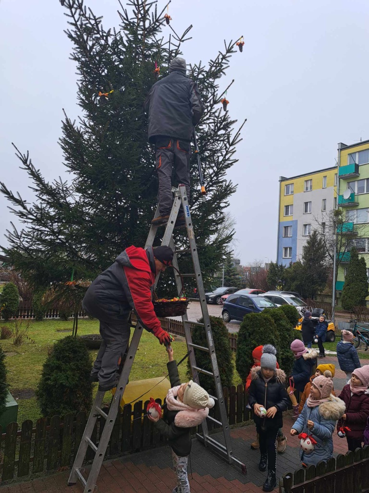 Świąteczny nastrój na osiedlu Centrum dzięki współpracy przedszkolaków i spółdzielni mieszkaniowej [15.12.2023] - zdjęcie #14 - eOstroleka.pl