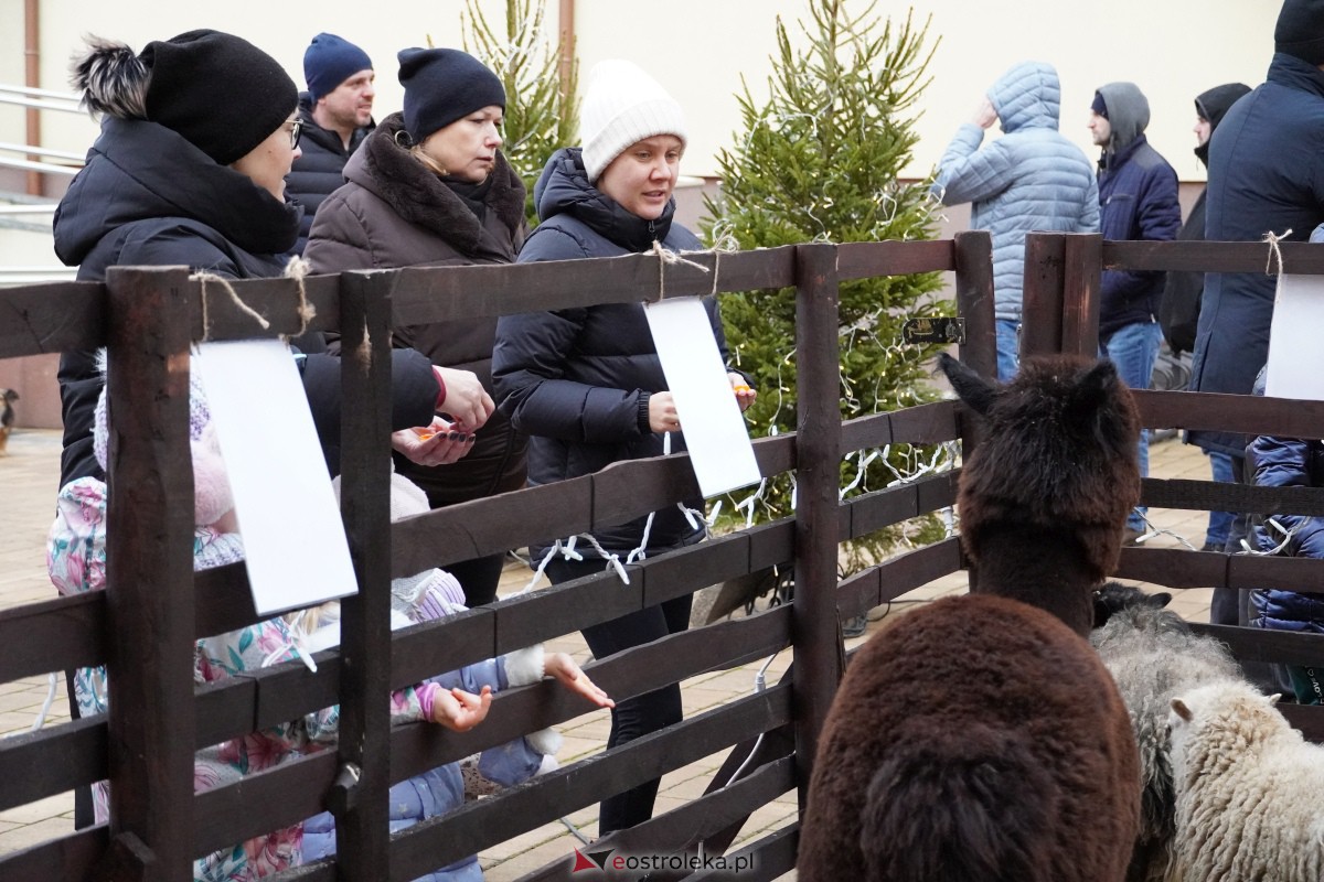 Wigilia SM CENTRUM i parafii św. Franciszka z Asyżu [16.12.2023] - zdjęcie #179 - eOstroleka.pl
