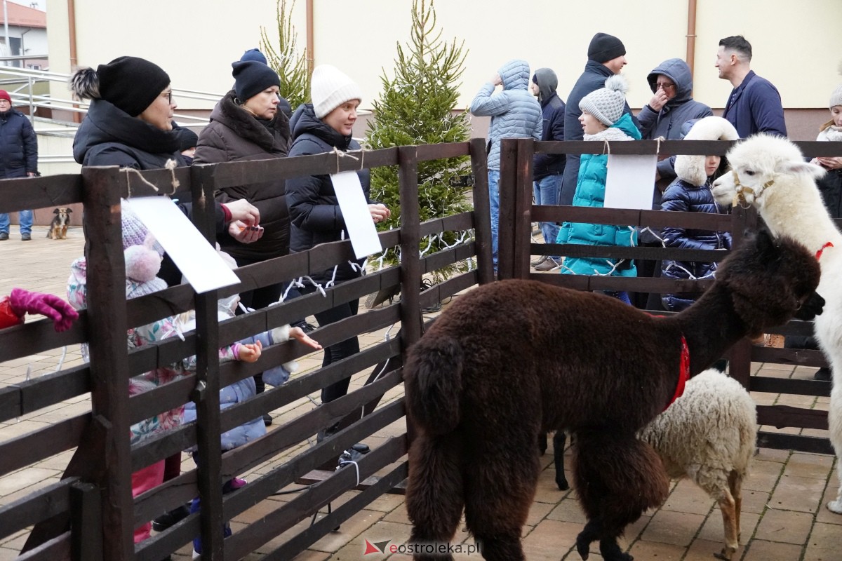 Wigilia SM CENTRUM i parafii św. Franciszka z Asyżu [16.12.2023] - zdjęcie #178 - eOstroleka.pl