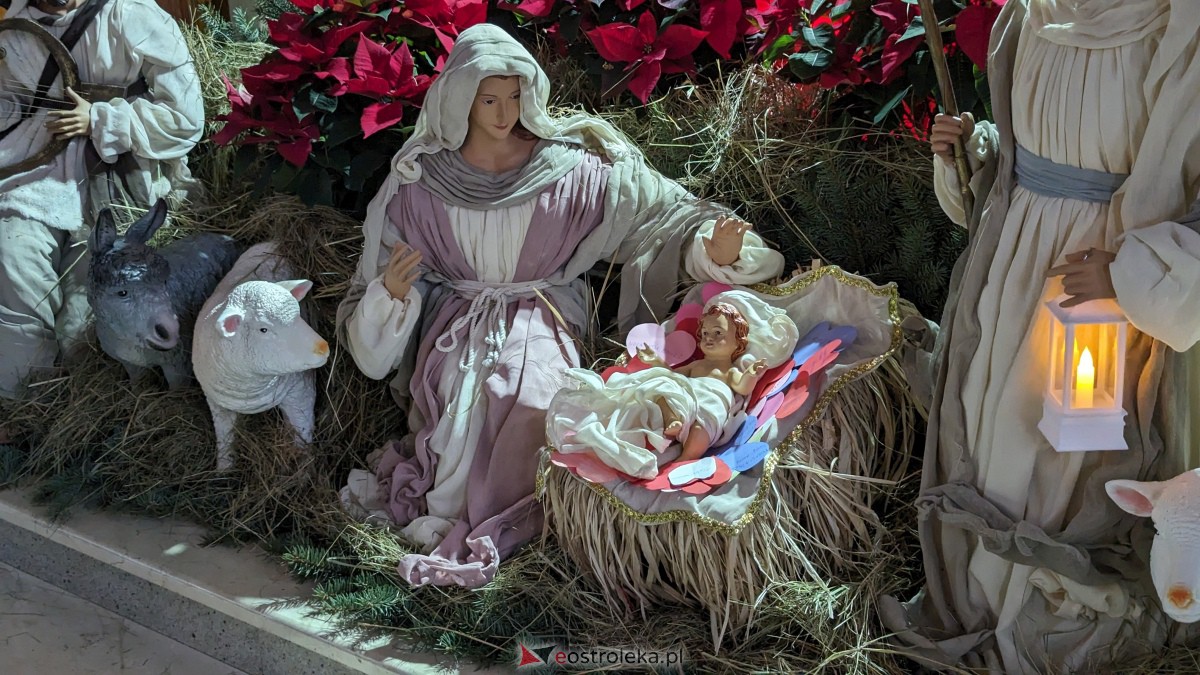 Szopki Bożonarodzeniowe w ostrołęckich kościołach [25.12.2023] - zdjęcie #27 - eOstroleka.pl