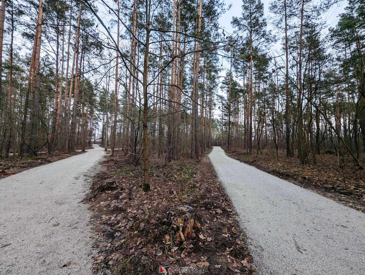 Park przy Warszawskiej [31.12.2023] - zdjęcie #2 - eOstroleka.pl