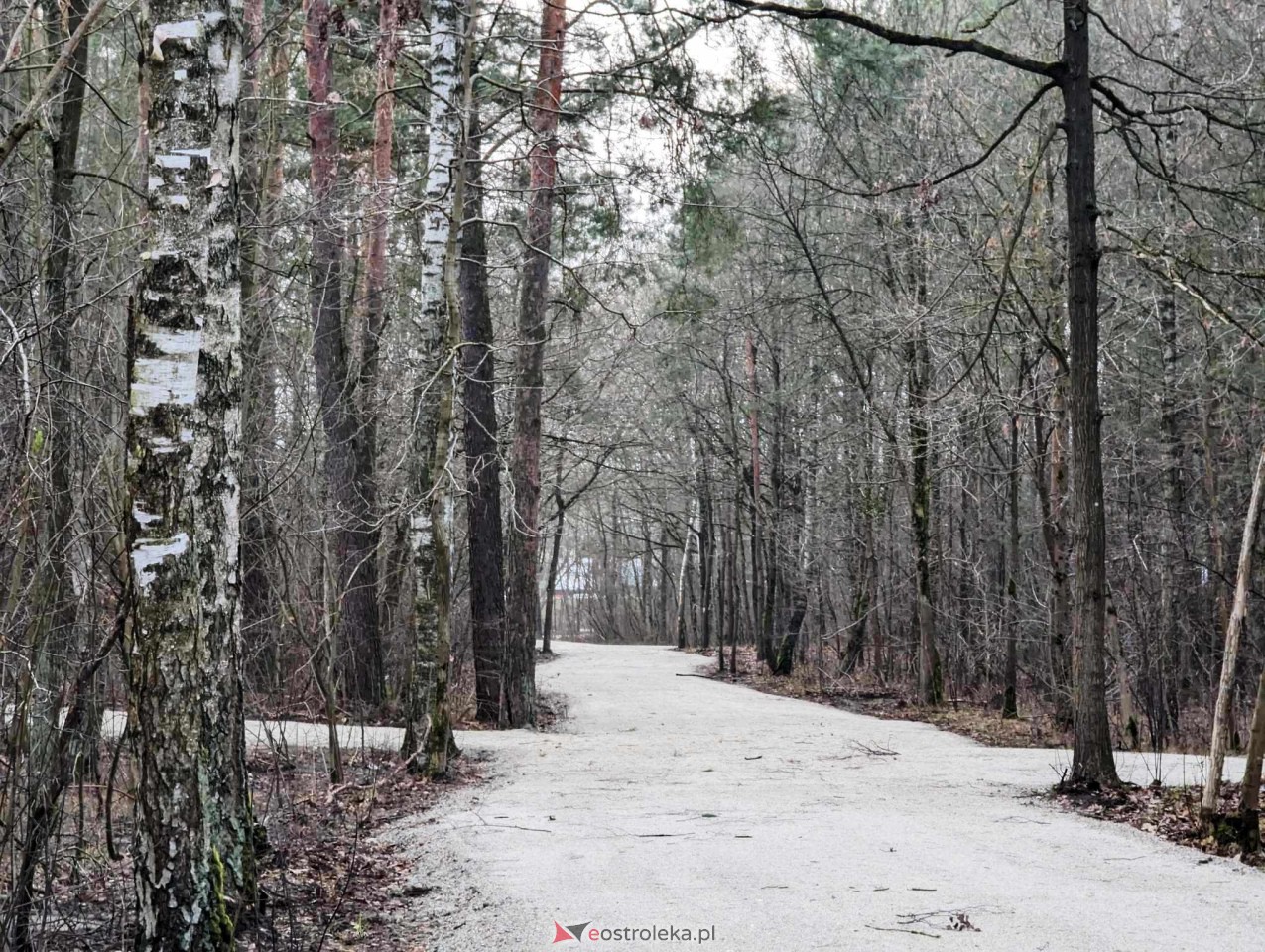 Park przy Warszawskiej [31.12.2023] - zdjęcie #7 - eOstroleka.pl