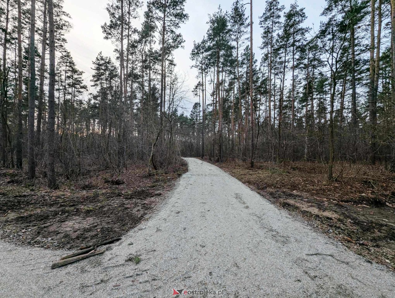 Park przy Warszawskiej [31.12.2023] - zdjęcie #9 - eOstroleka.pl