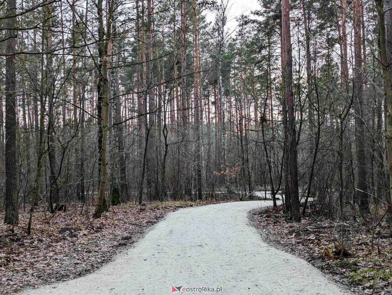 Park przy Warszawskiej [31.12.2023] - zdjęcie #14 - eOstroleka.pl