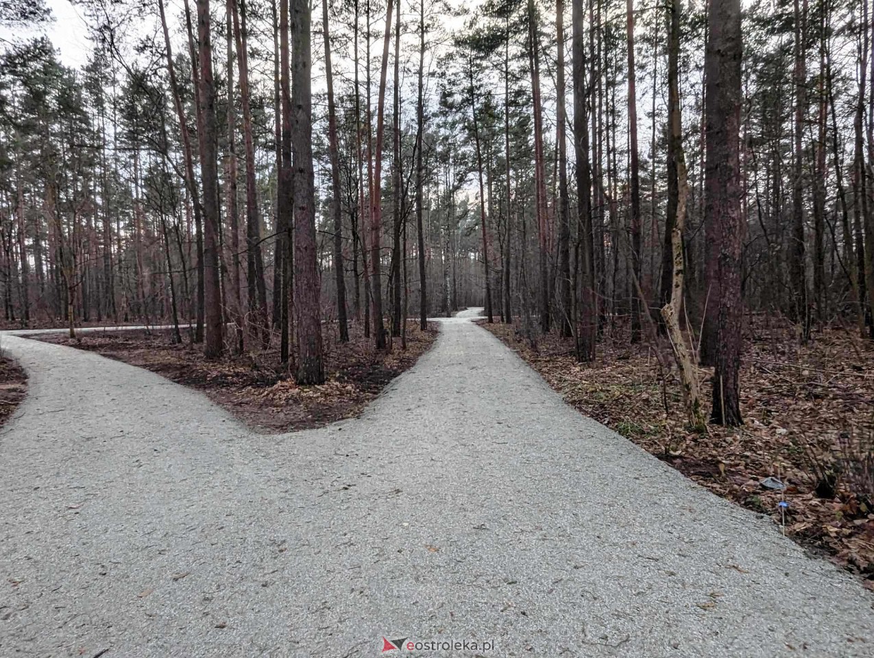 Park przy Warszawskiej [31.12.2023] - zdjęcie #17 - eOstroleka.pl