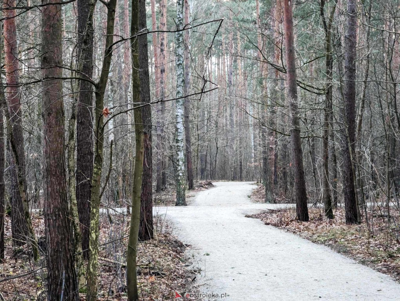 Park przy Warszawskiej [31.12.2023] - zdjęcie #20 - eOstroleka.pl