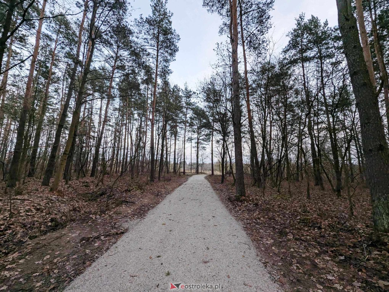 Park przy Warszawskiej [31.12.2023] - zdjęcie #21 - eOstroleka.pl