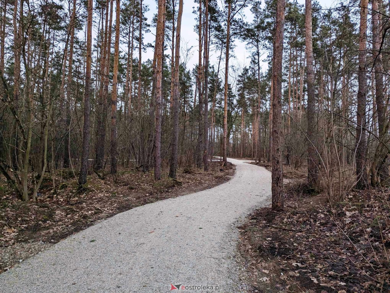 Park przy Warszawskiej [31.12.2023] - zdjęcie #26 - eOstroleka.pl