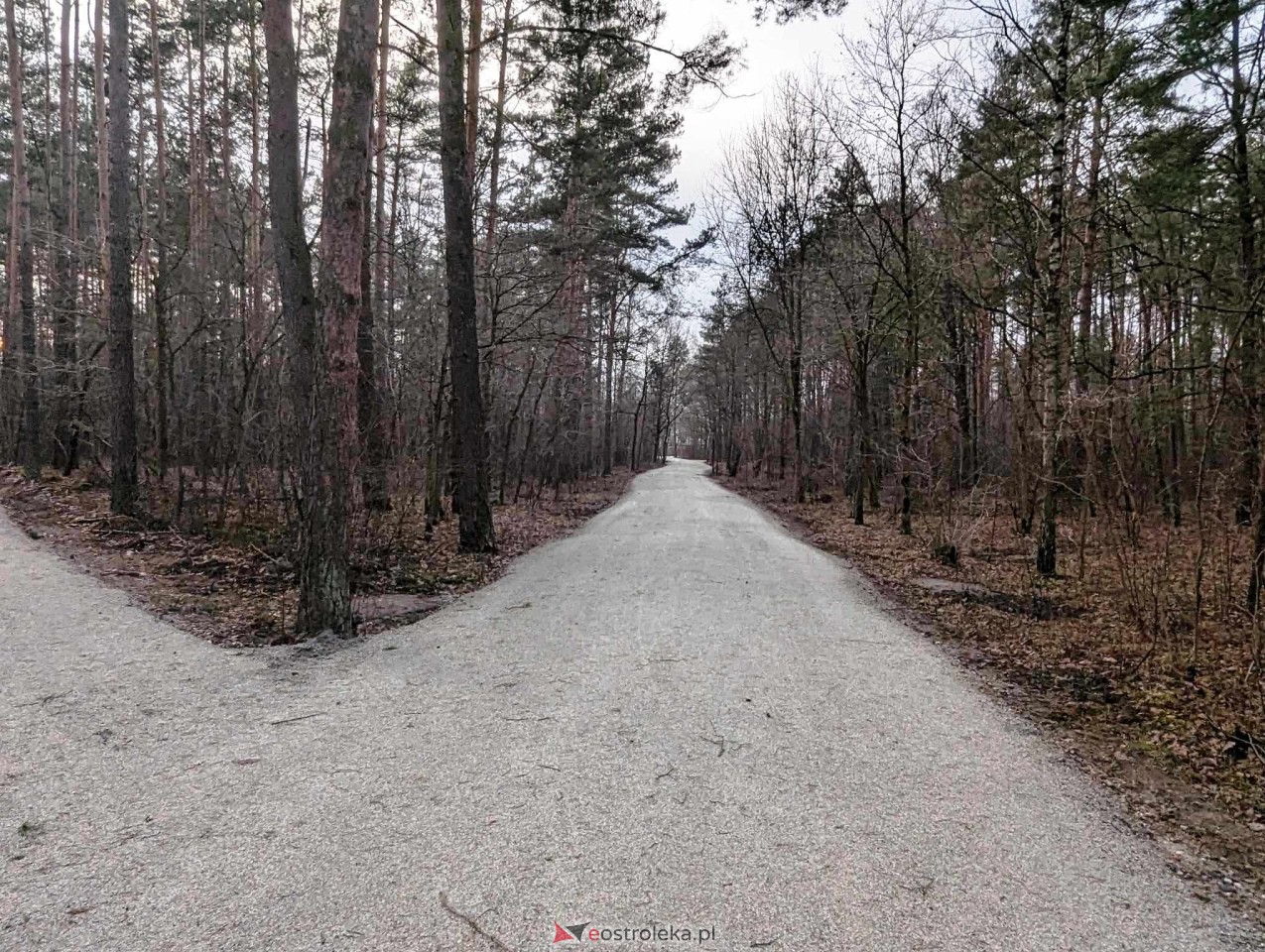 Park przy Warszawskiej [31.12.2023] - zdjęcie #27 - eOstroleka.pl