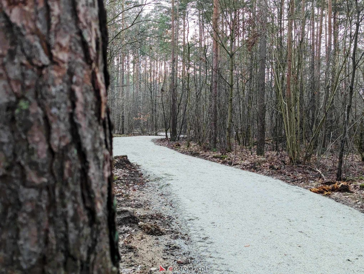 Park przy Warszawskiej [31.12.2023] - zdjęcie #28 - eOstroleka.pl