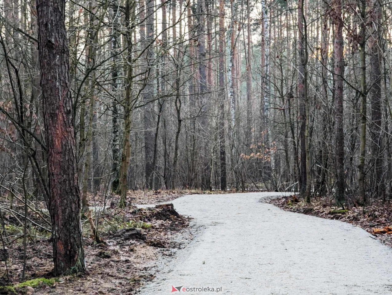 Park przy Warszawskiej [31.12.2023] - zdjęcie #29 - eOstroleka.pl