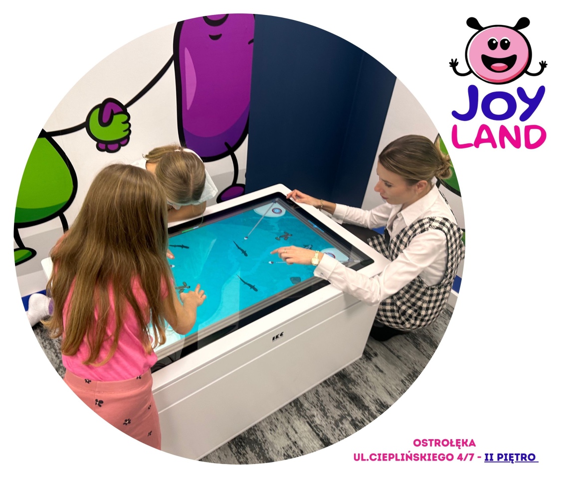 Joy Land - nowa sala zabaw w Ostrołęce - PROMOCJA  - zdjęcie #3 - eOstroleka.pl
