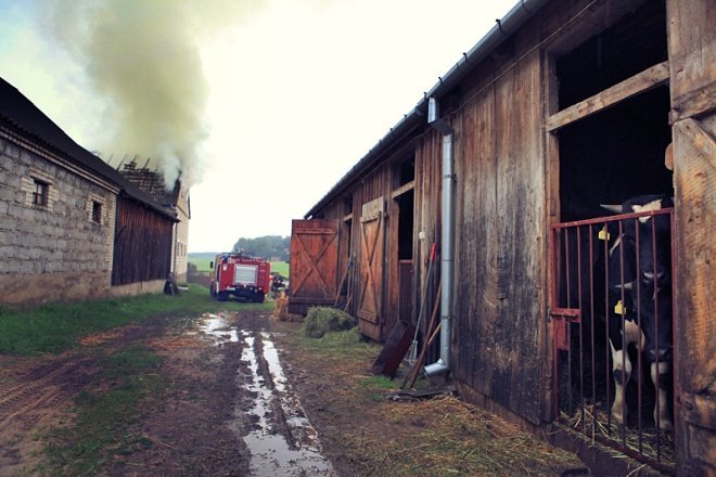 Pożar w Lipiance (09/06.2011) - zdjęcie #12 - eOstroleka.pl
