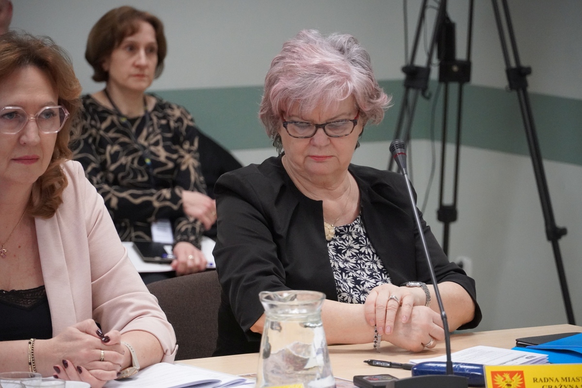 Sesja Rady Miasta Ostrołęka - 31.01.2024 - zdjęcie #2 - eOstroleka.pl