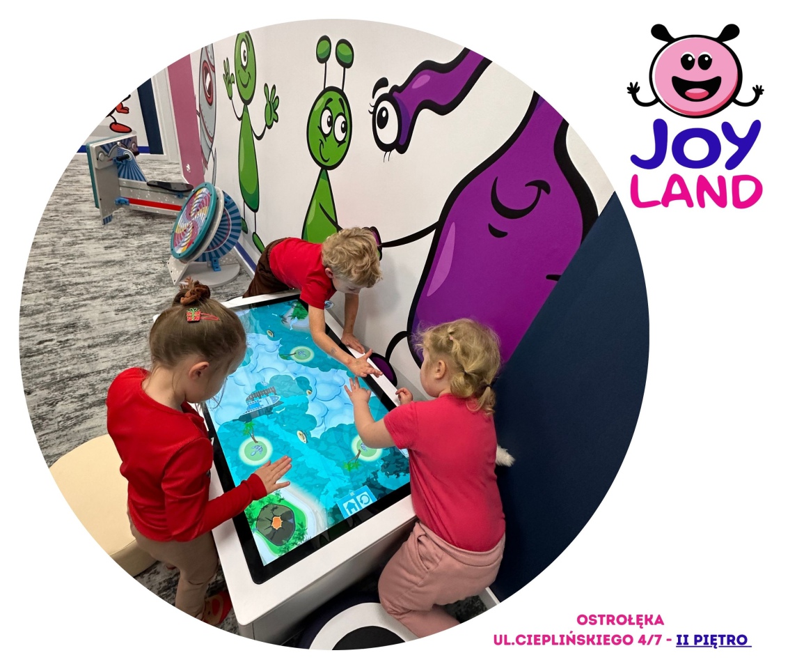 Joy Land - nowa sala zabaw w Ostrołęce  - zdjęcie #10 - eOstroleka.pl