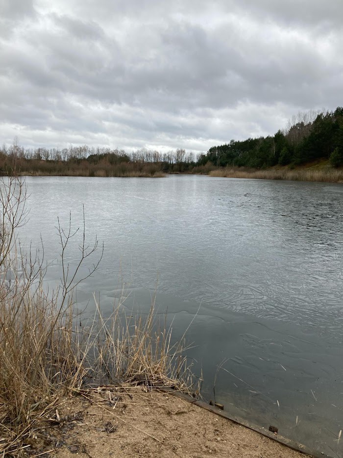 Dramat na łowisku w Grodzisku: Jeleń utonął, mimo akcji ratunkowej [07.02.2024] - zdjęcie #2 - eOstroleka.pl
