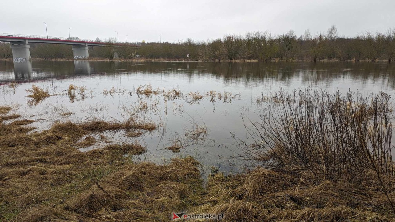 Poziom wody w Narwi - stan z 11 lutego 2024 [11.02.2024] - zdjęcie #26 - eOstroleka.pl