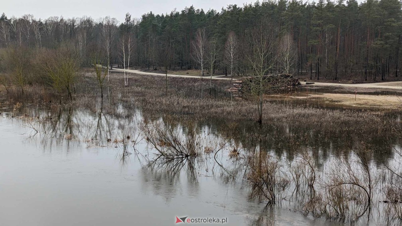 Poziom wody w Narwi - stan z 11 lutego 2024 [11.02.2024] - zdjęcie #30 - eOstroleka.pl