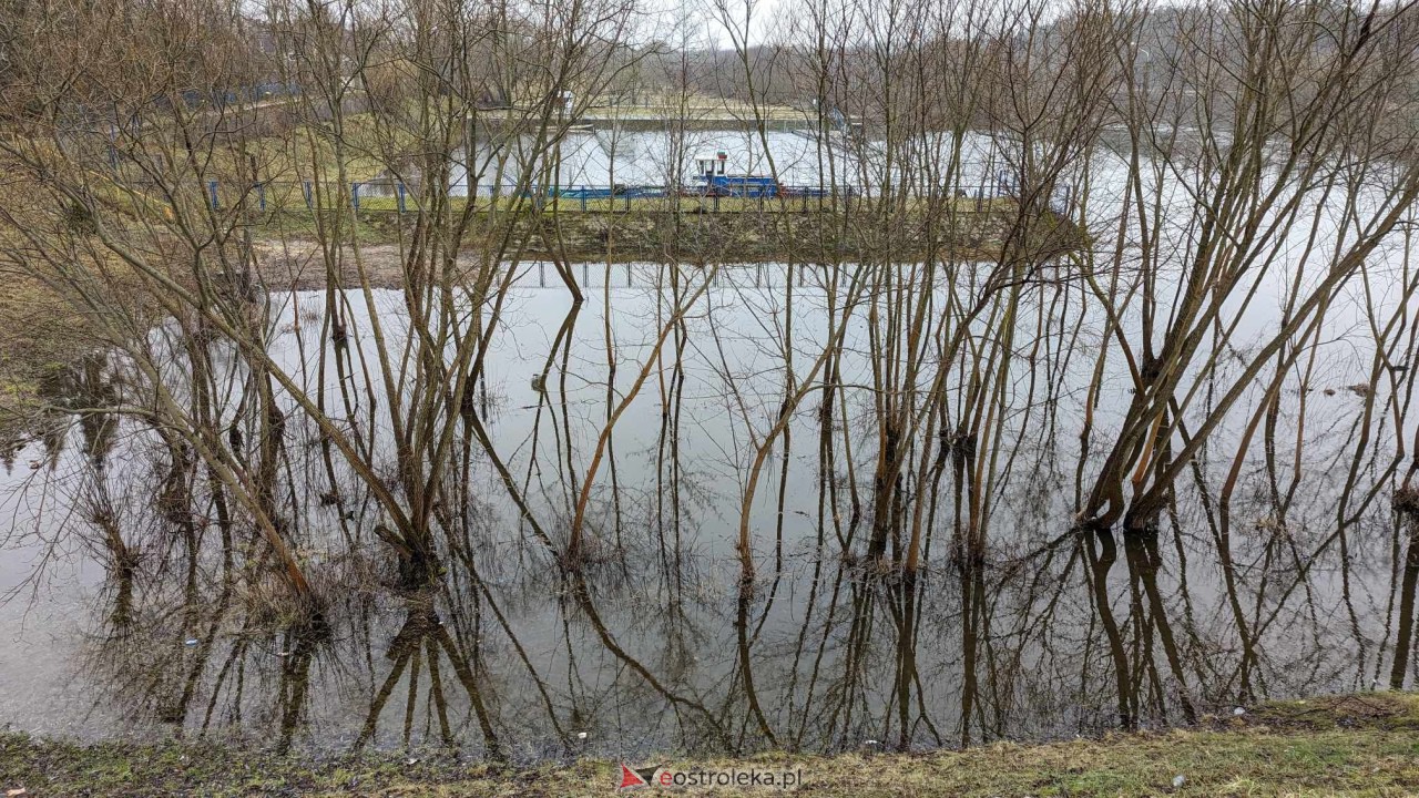Poziom wody w Narwi - stan z 11 lutego 2024 [11.02.2024] - zdjęcie #31 - eOstroleka.pl