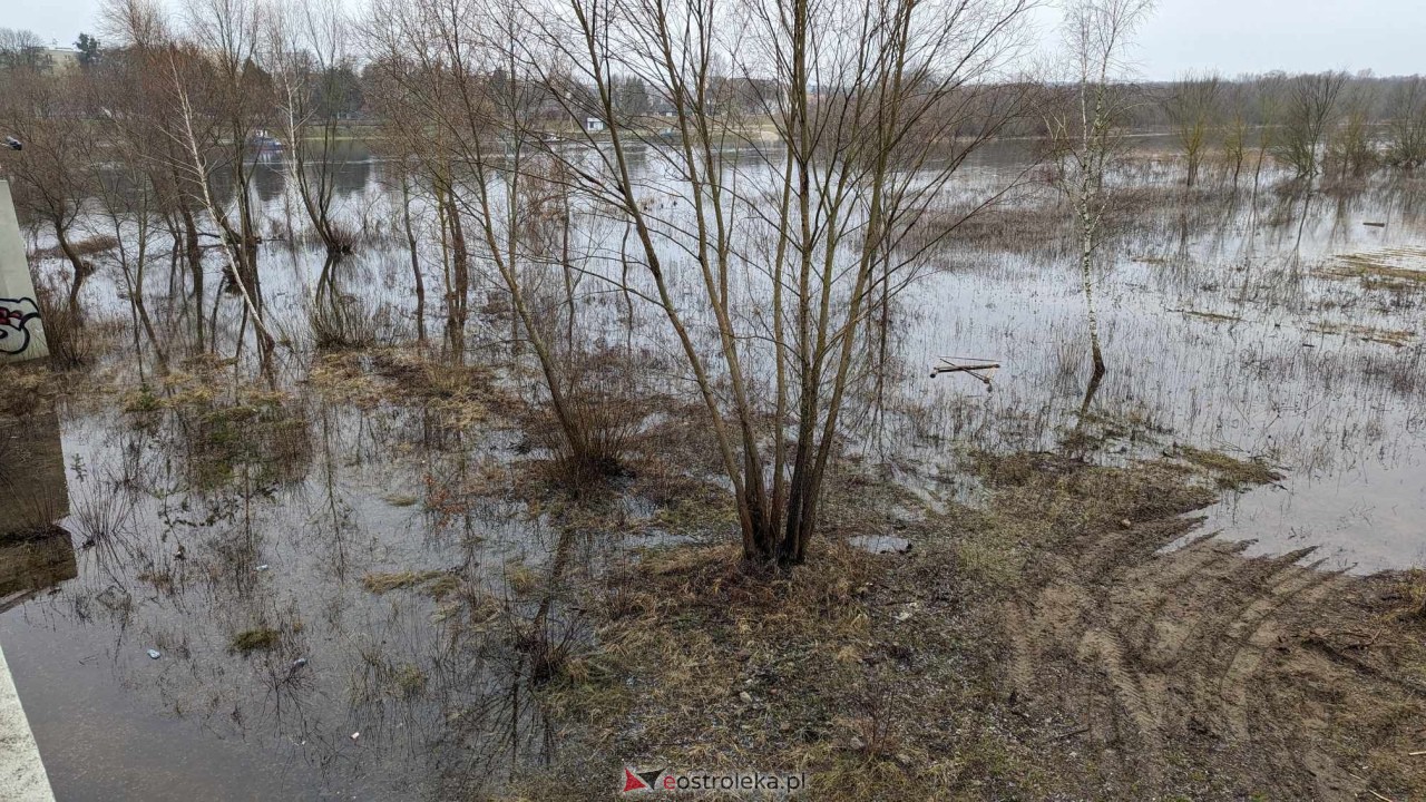 Poziom wody w Narwi - stan z 11 lutego 2024 [11.02.2024] - zdjęcie #42 - eOstroleka.pl