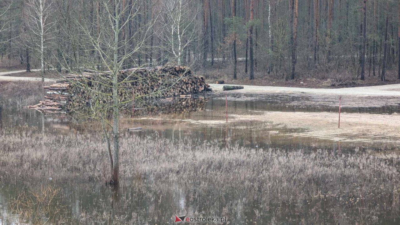 Poziom wody w Narwi - stan z 11 lutego 2024 [11.02.2024] - zdjęcie #55 - eOstroleka.pl