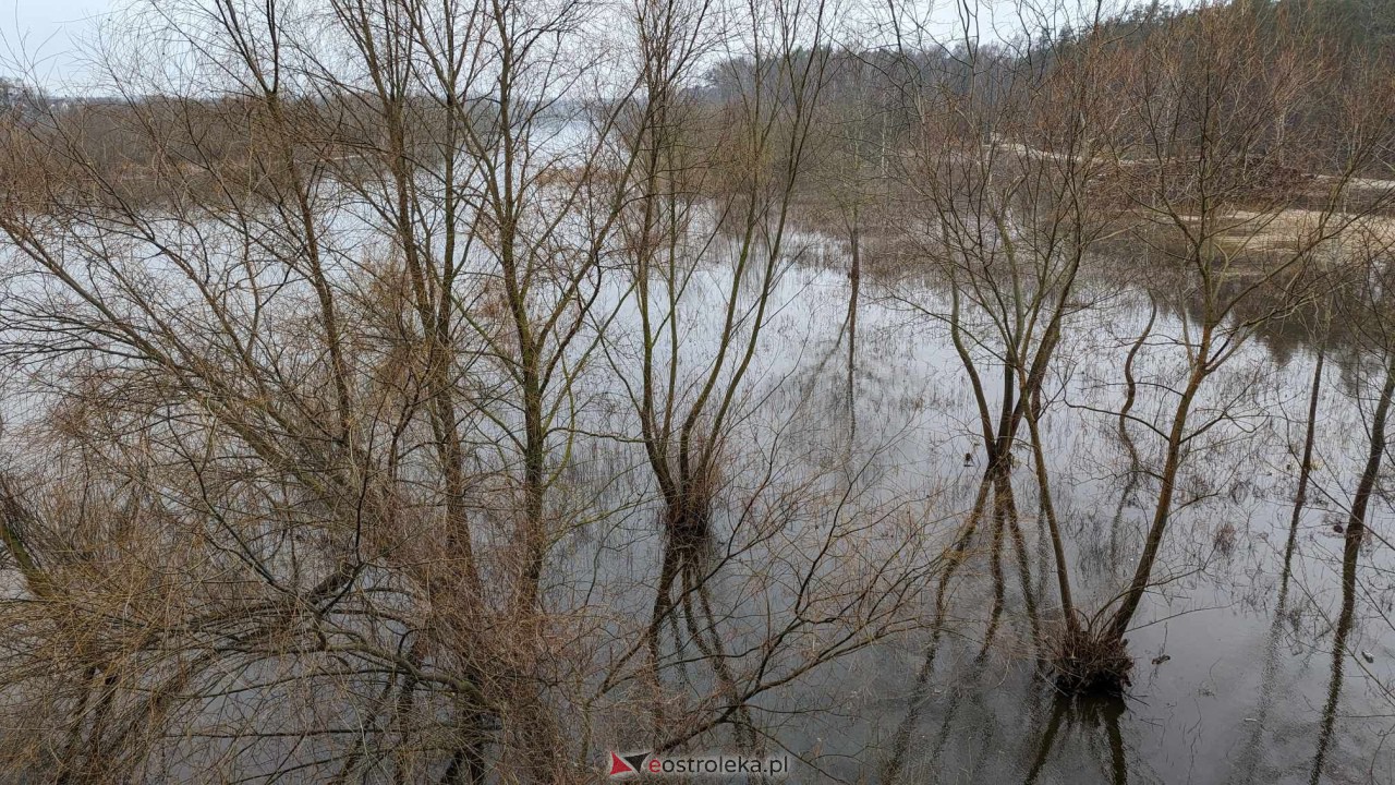 Poziom wody w Narwi - stan z 11 lutego 2024 [11.02.2024] - zdjęcie #59 - eOstroleka.pl