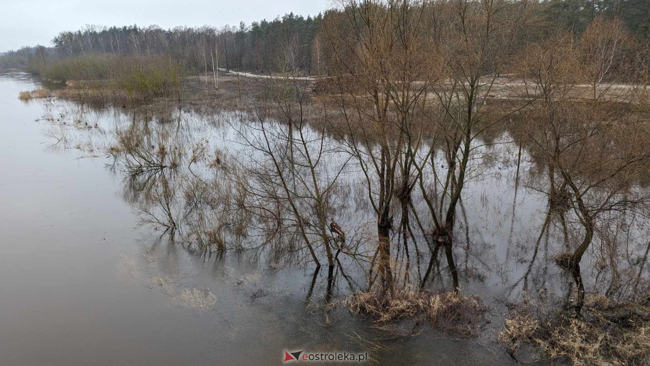 Poziom wody w Narwi - stan z 11 lutego 2024 [11.02.2024] - zdjęcie #61 - eOstroleka.pl