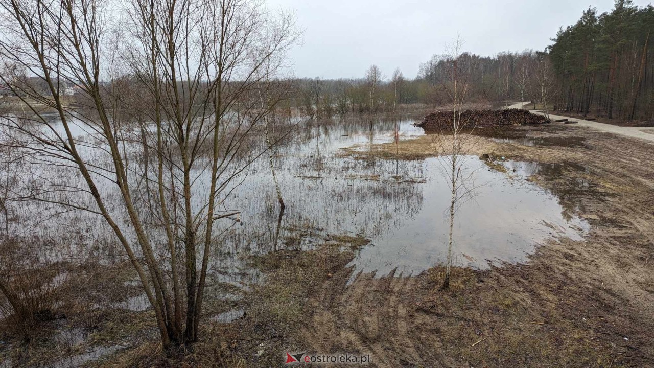 Poziom wody w Narwi - stan z 11 lutego 2024 [11.02.2024] - zdjęcie #63 - eOstroleka.pl