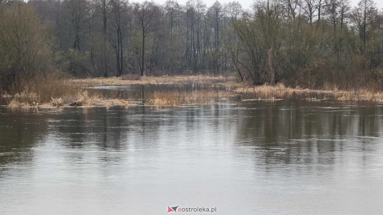 Poziom wody w Narwi - stan z 11 lutego 2024 [11.02.2024] - zdjęcie #68 - eOstroleka.pl