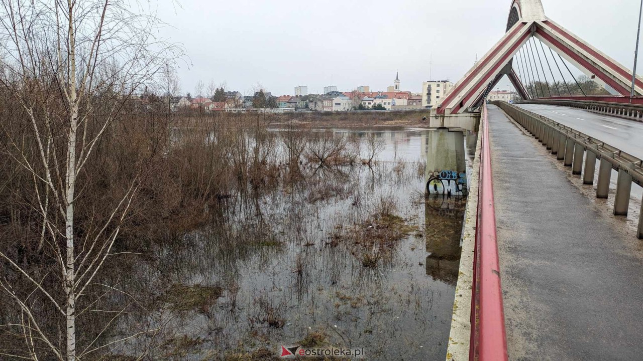 Poziom wody w Narwi - stan z 11 lutego 2024 [11.02.2024] - zdjęcie #69 - eOstroleka.pl