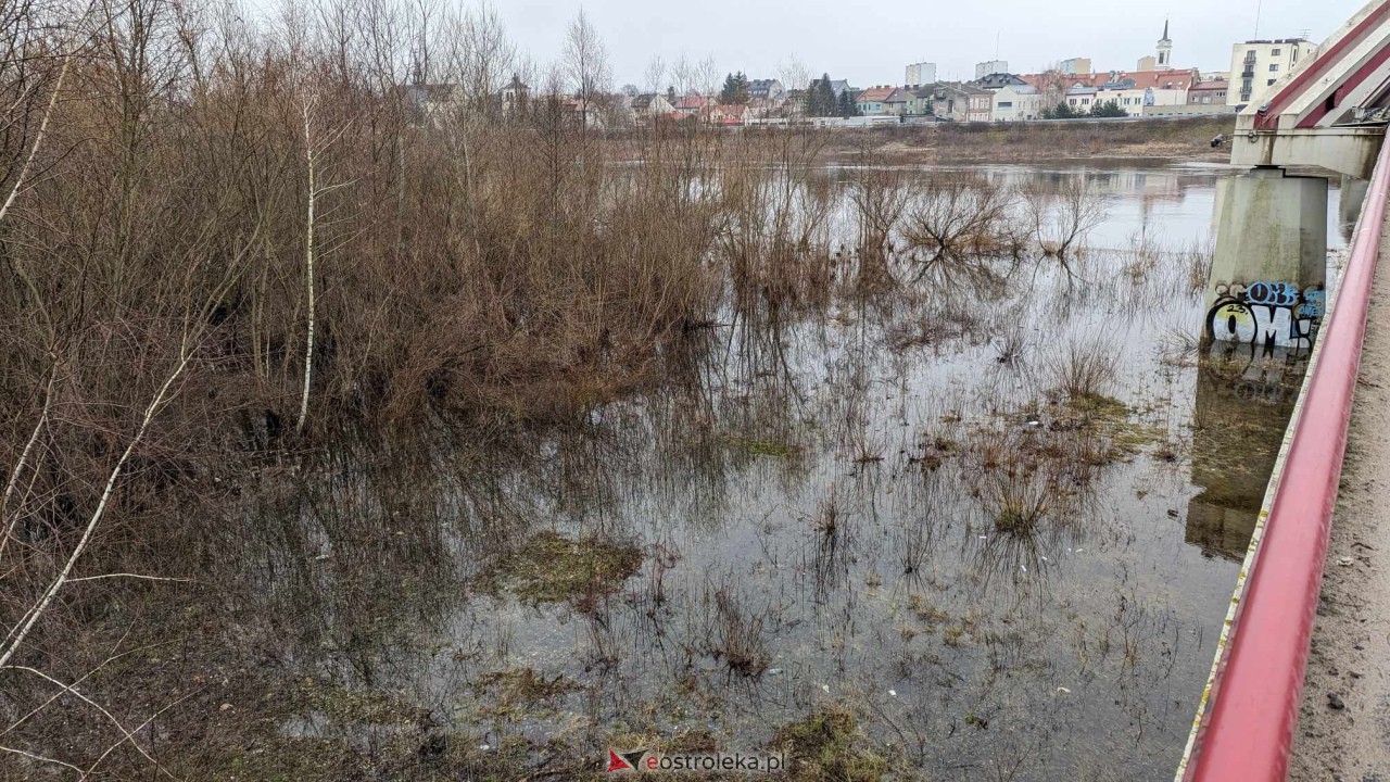 Poziom wody w Narwi - stan z 11 lutego 2024 [11.02.2024] - zdjęcie #71 - eOstroleka.pl