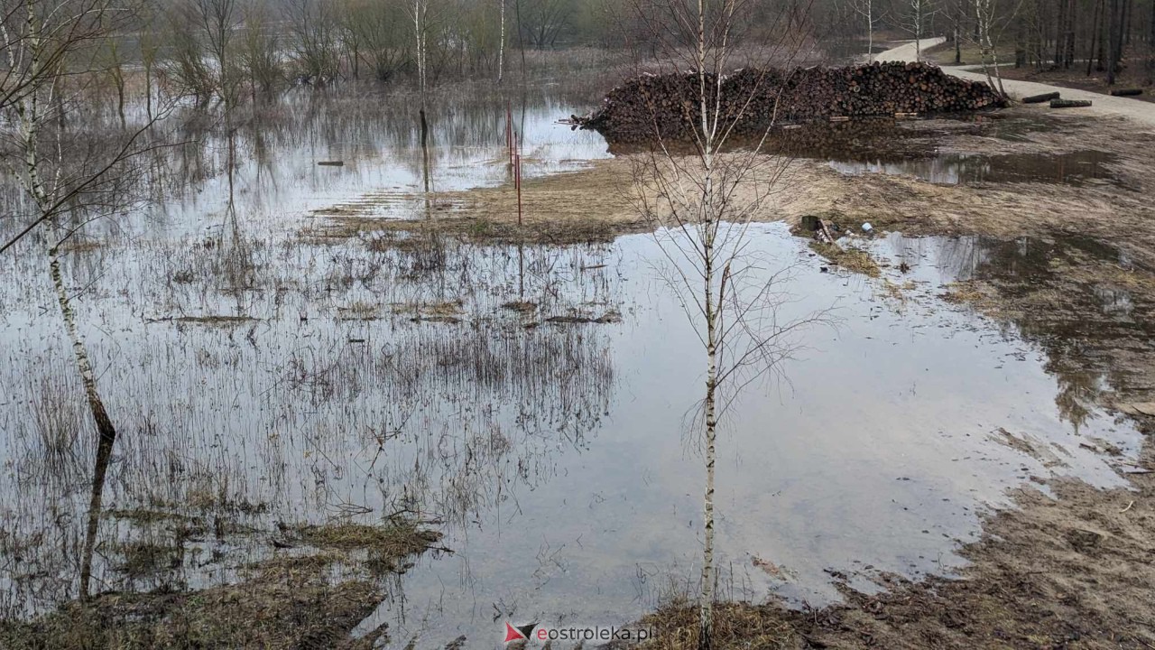 Poziom wody w Narwi - stan z 11 lutego 2024 [11.02.2024] - zdjęcie #82 - eOstroleka.pl