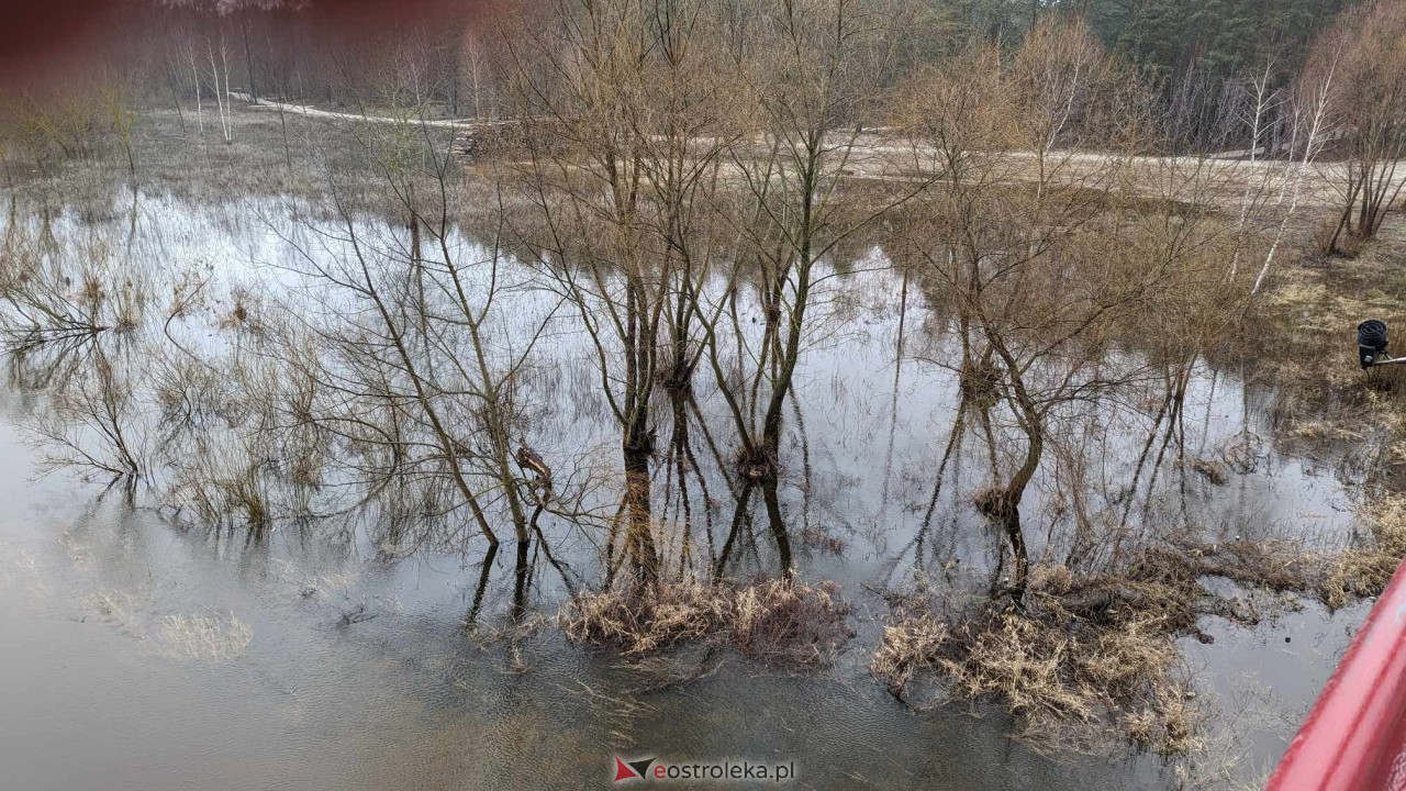 Poziom wody w Narwi - stan z 11 lutego 2024 [11.02.2024] - zdjęcie #96 - eOstroleka.pl